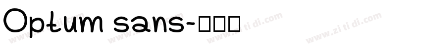Optum sans字体转换